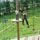 Hochseilgarten