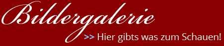 Bildergalerie